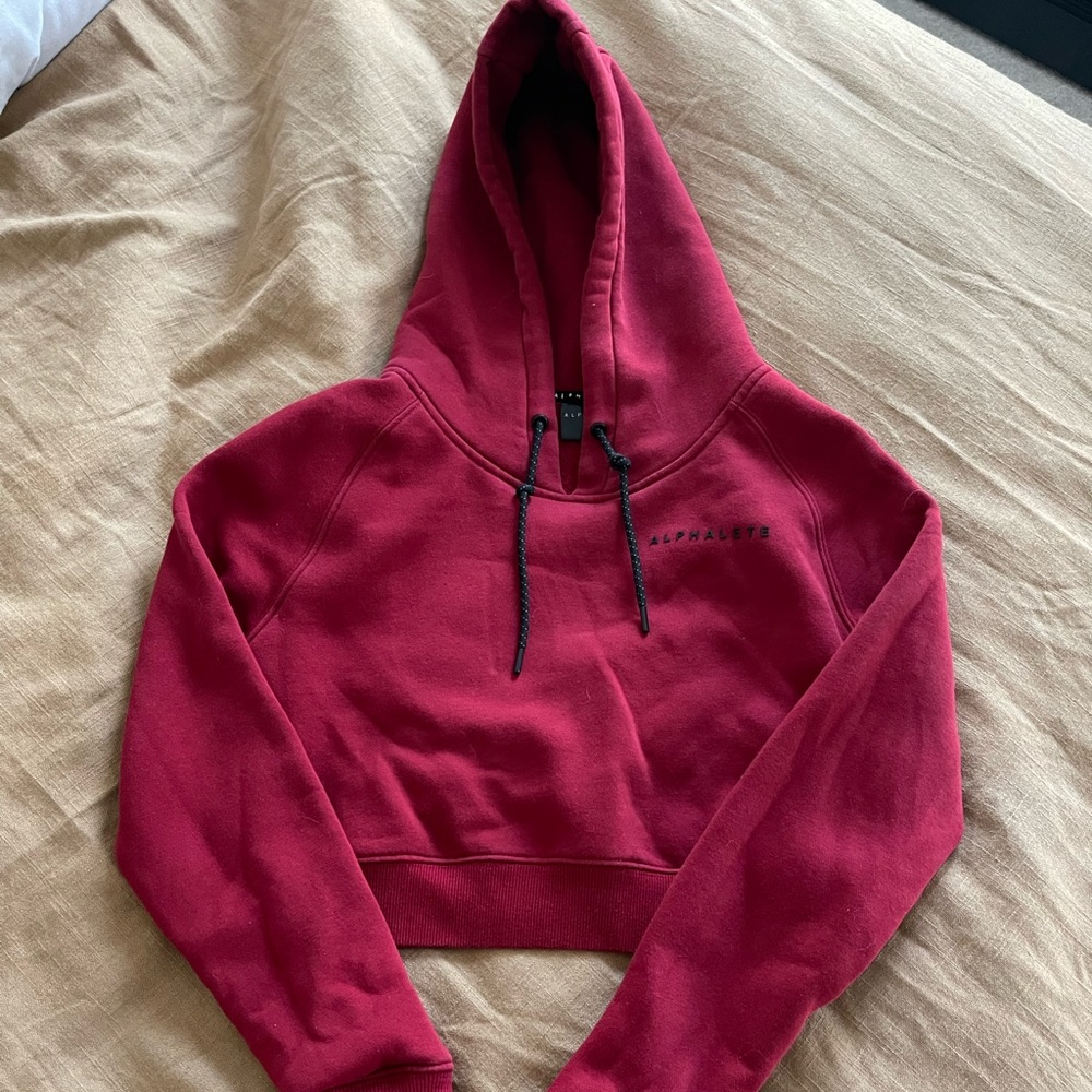 Alphalete crop hoodie!